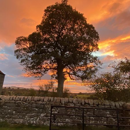 Wydon Farm Bed And Breakfast Haltwhistle Kültér fotó