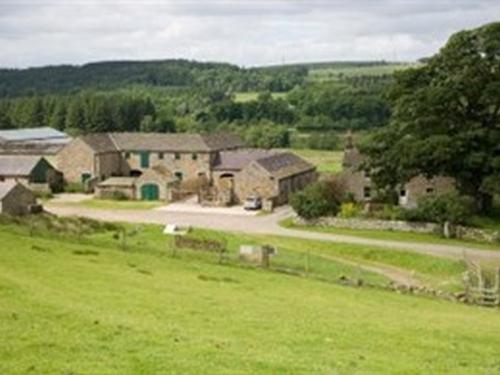 Wydon Farm Bed And Breakfast Haltwhistle Kültér fotó
