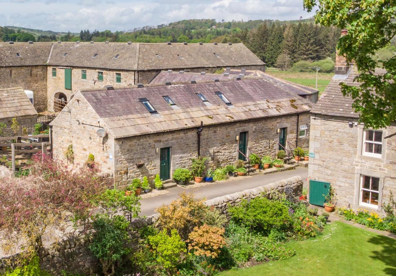 Wydon Farm Bed And Breakfast Haltwhistle Kültér fotó