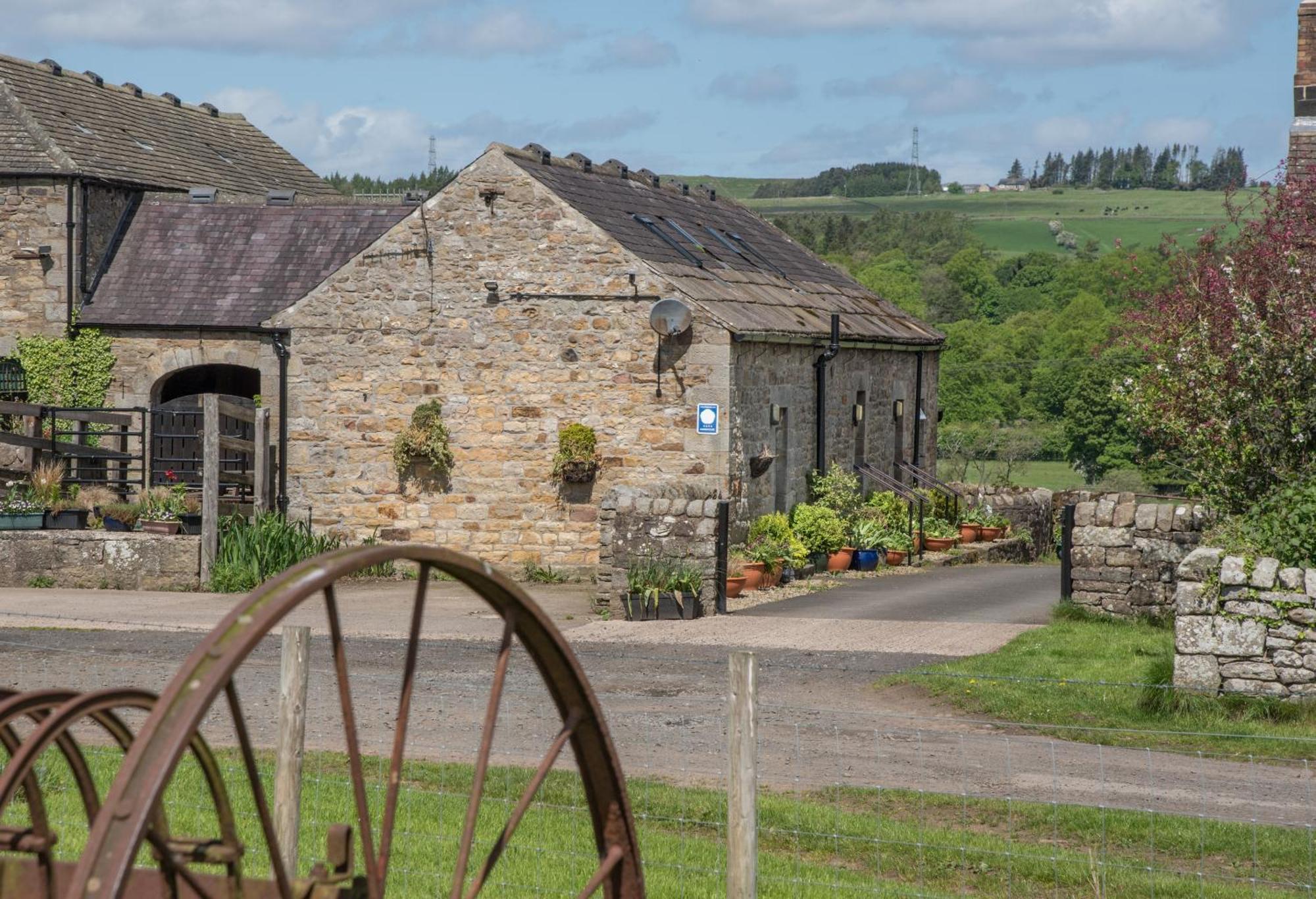 Wydon Farm Bed And Breakfast Haltwhistle Kültér fotó