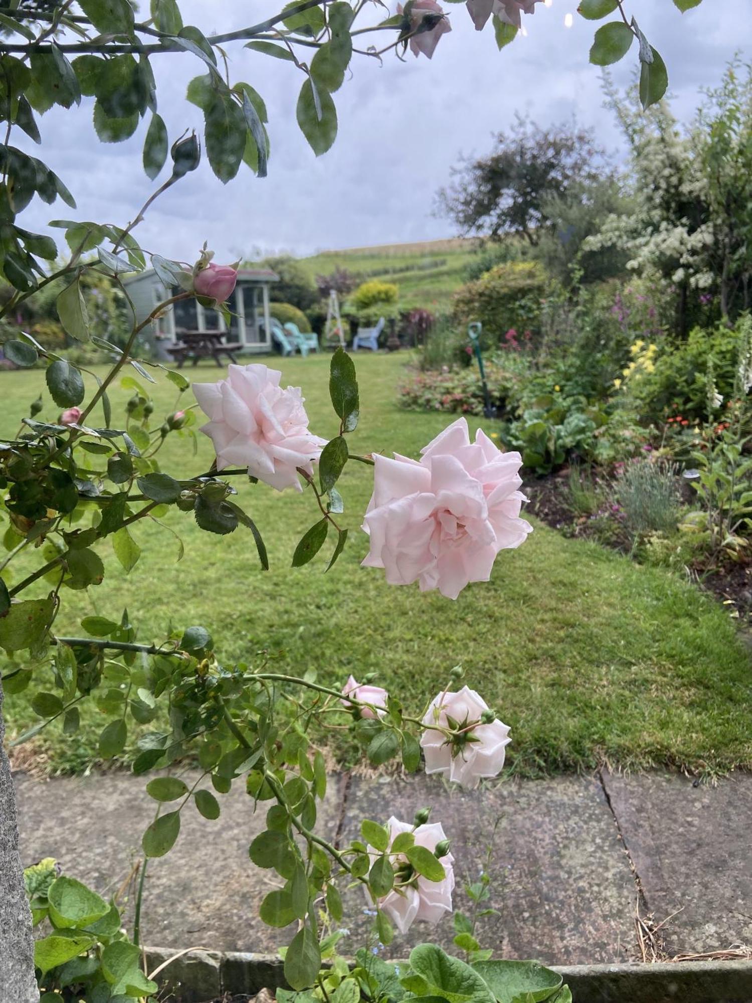 Wydon Farm Bed And Breakfast Haltwhistle Kültér fotó
