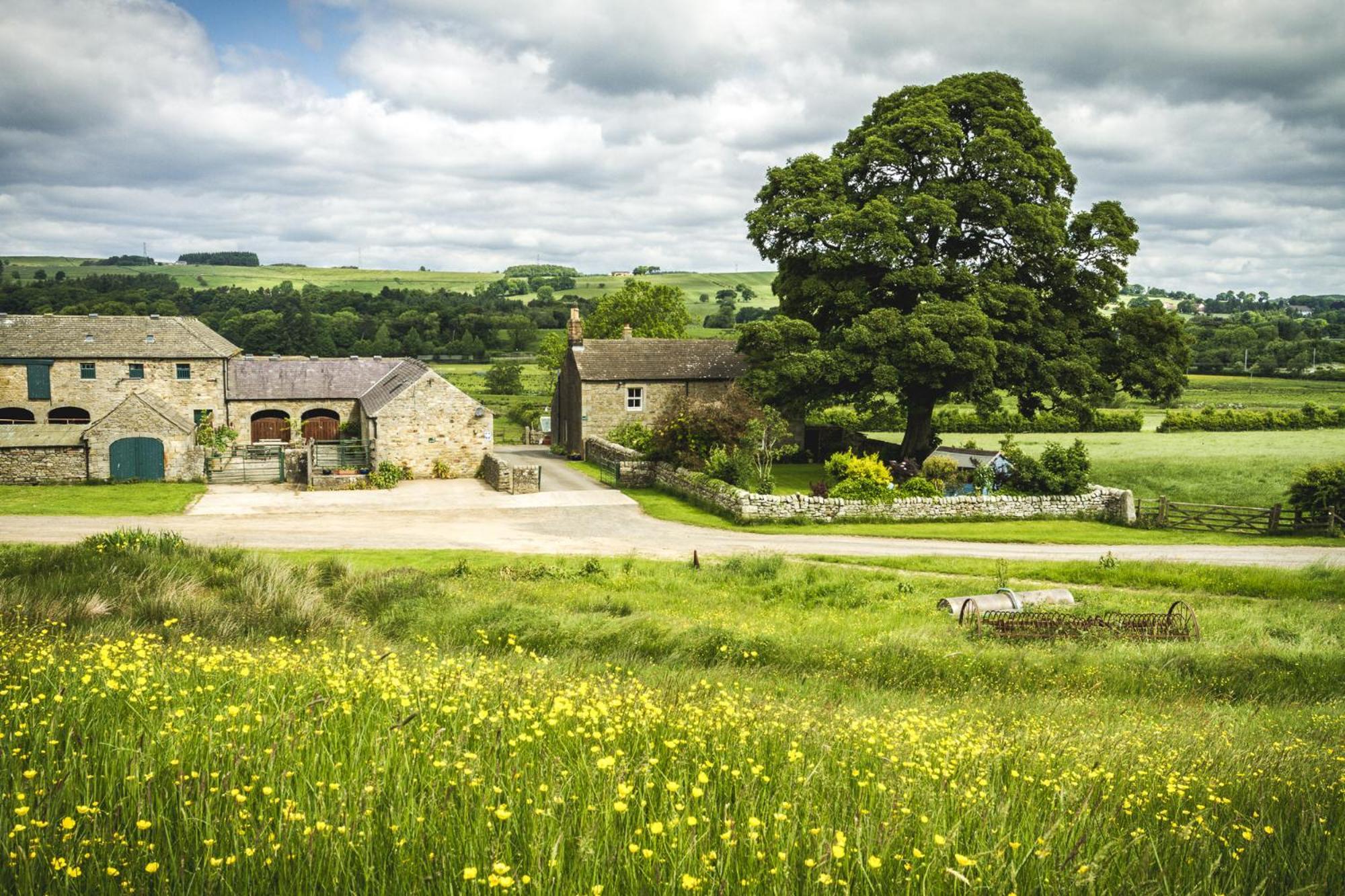 Wydon Farm Bed And Breakfast Haltwhistle Kültér fotó